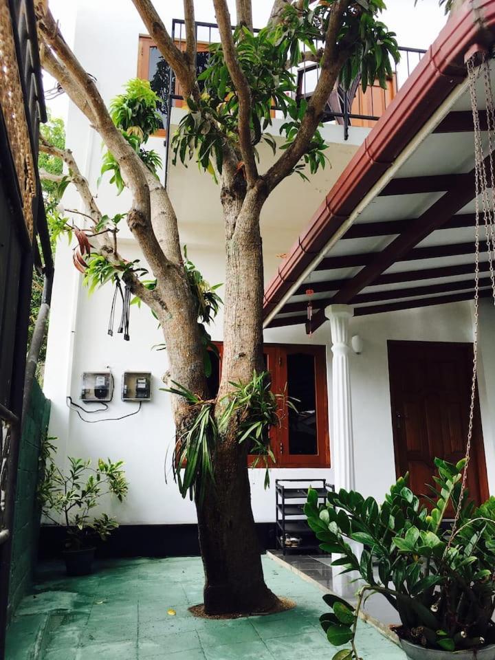 House Of Seya Bed & Breakfast เนกอมโบ ภายนอก รูปภาพ