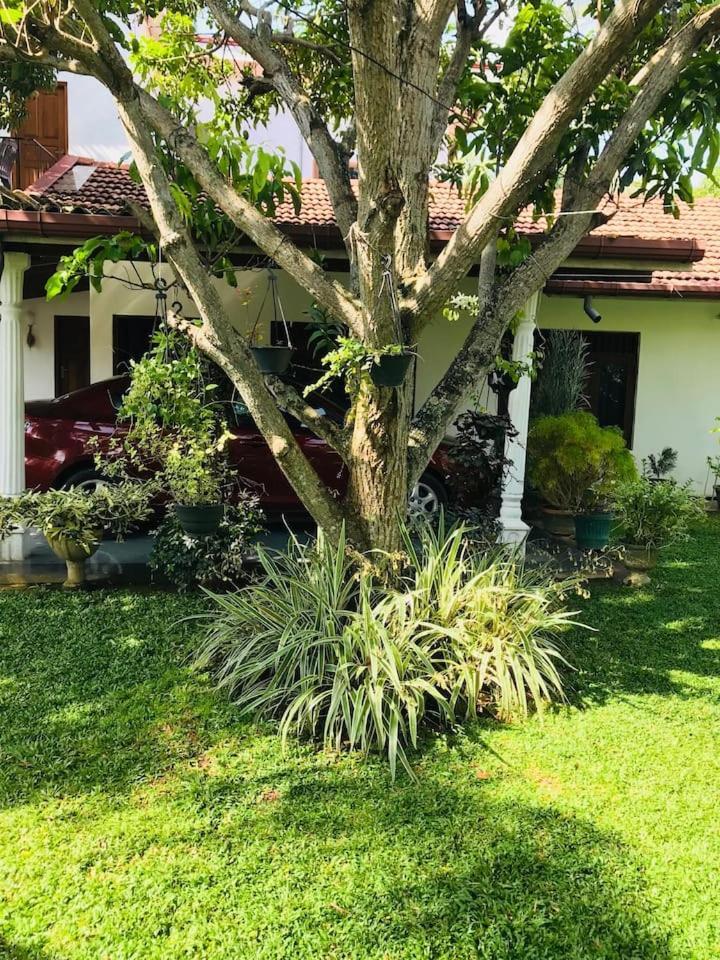 House Of Seya Bed & Breakfast เนกอมโบ ภายนอก รูปภาพ